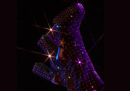 Preciosa New Flatback Shape Star MAXIMA FB boots 